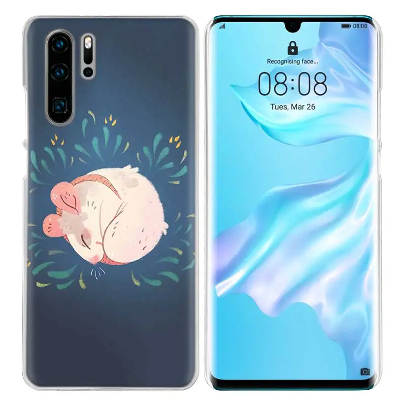 Жесткий чехол для huawei P30 P20 P10 mate 30 20 10 Nova 5 5i Pro Lite P Smart Z Plus милая крыса с животными