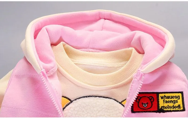 Autumn Baby Girls Clothing Sets Children Warm Hooded Coats And Pants Suit Toddler Boys Thick Velvet Tracksuit Kids Clothes Set (7)