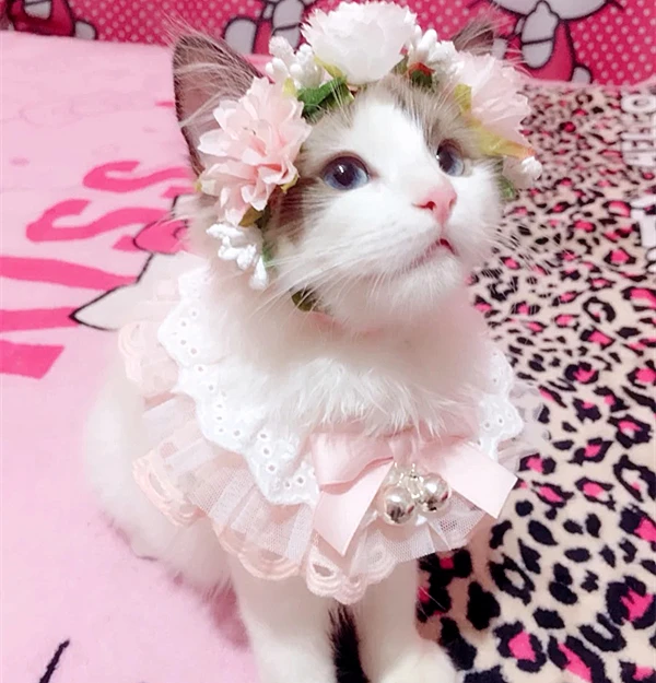 Аксессуары для домашних животных колье собак ручной работы венок искусственный