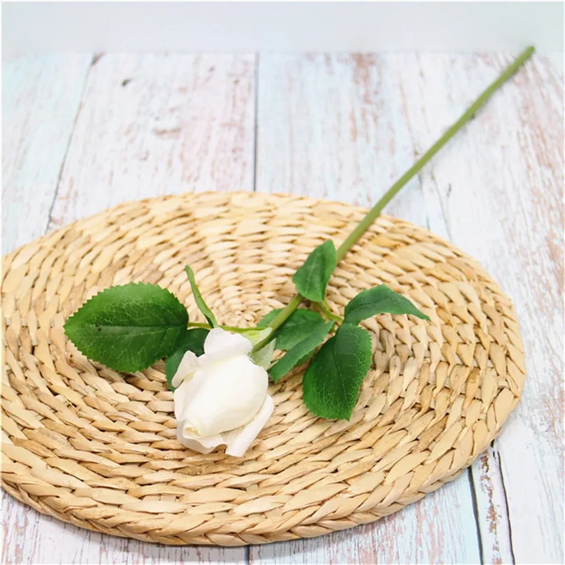 ZQQ90715122_0408115755810282476