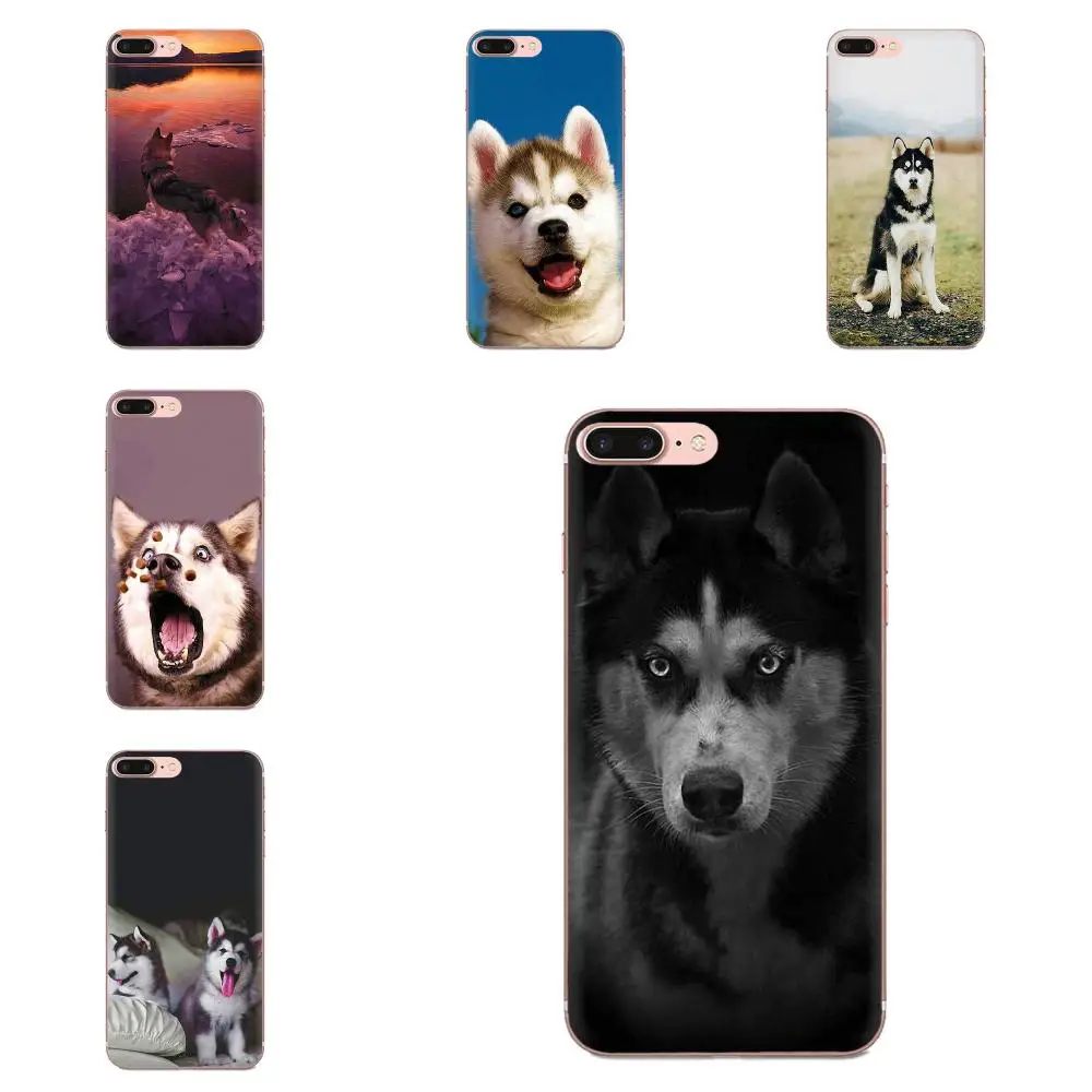 Мягкий чехол из ТПУ для Apple iPhone 11 Pro X XS Max XR 4 4s 5 5C 5S SE 6 6S 7 8 Plus игрушечная Лайка