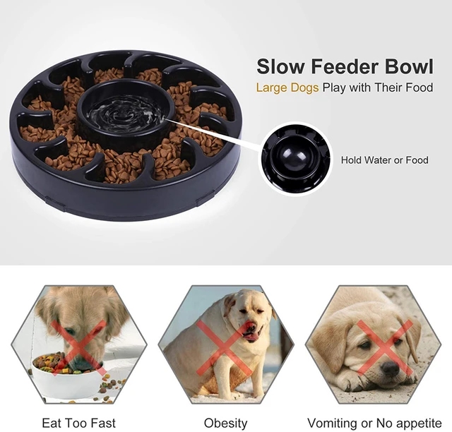 Benepaw bol de qualit pour chiens gamelle pour ingestion lente Durable cologique antid rapant alimentation lente