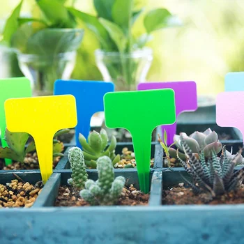 

100pcs Gardening Plant T Shape Waterproof Tags Mark Garden ToolsGarden Seedling Tray Flower Vegetable Planting Label Tools Farm