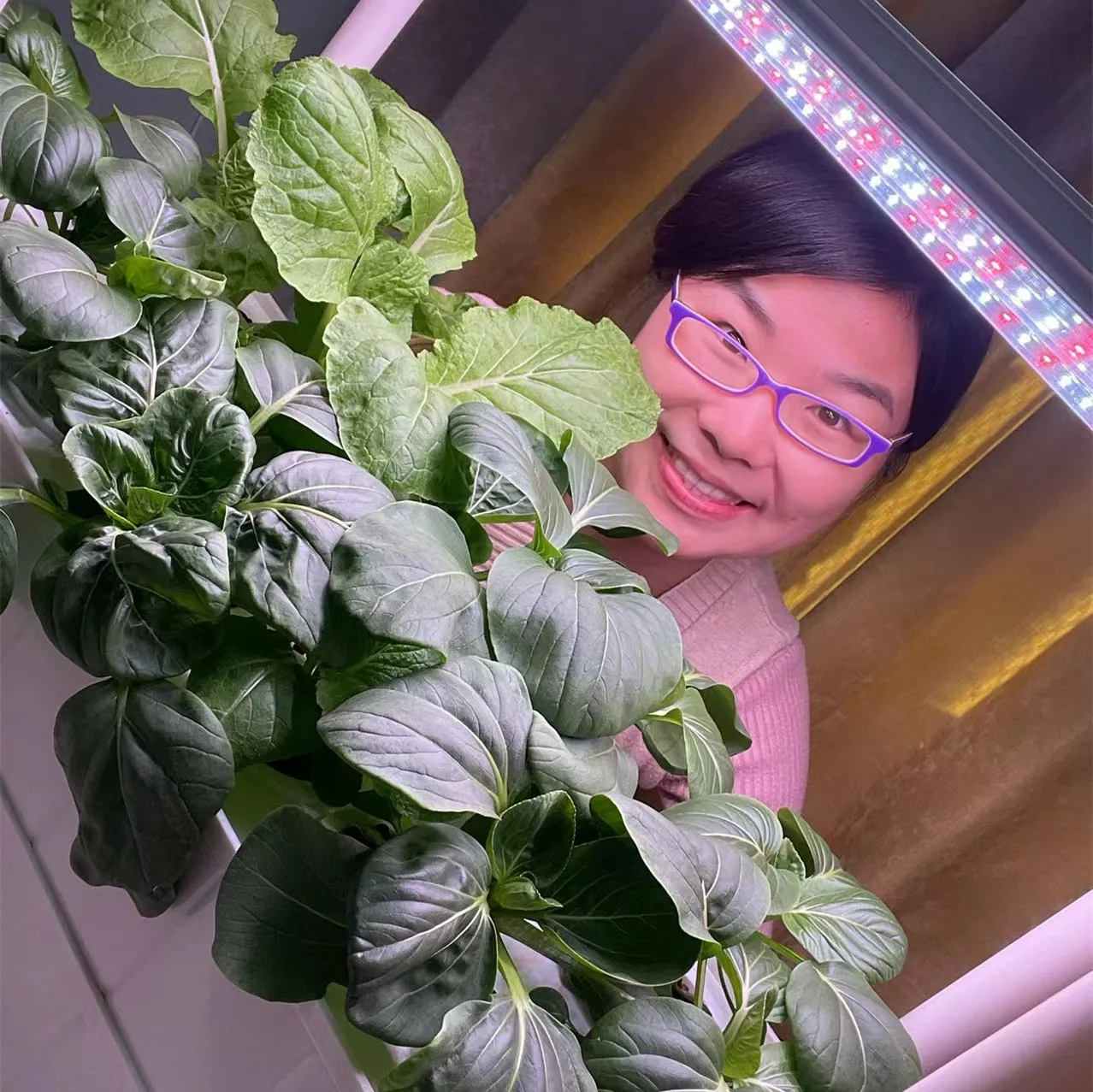 Merry Hydroponics Store
