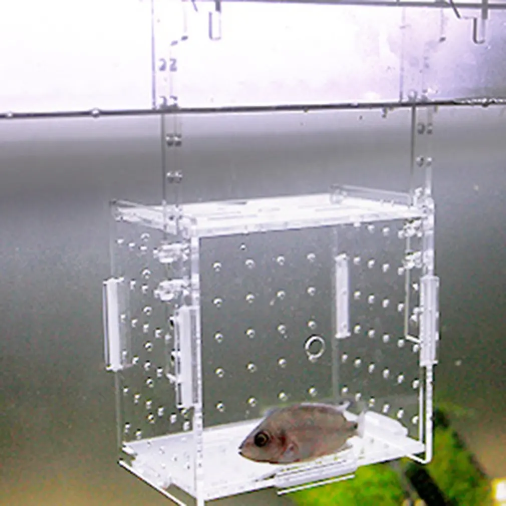 Аквариум прозрачный Аквариум рыба Фрай инкубатор разведение коробка производственная коробка один и двойной сетки Сеть для изоляции