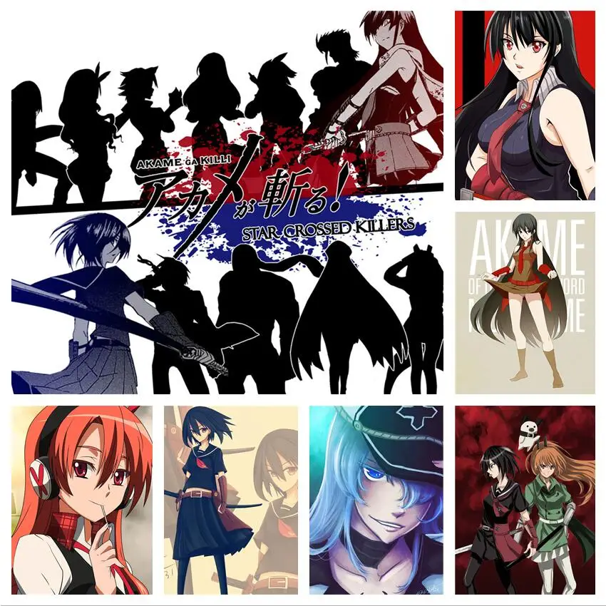 Akame Ga Kill Anime Night Raid Characters Premium Poster