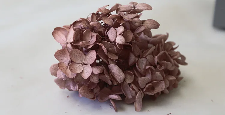 20g High Quality Natural Fresh Preserved Flowers Dried Mid-wood Hydrangea Flower Head For DIY Real Eternal Life Flowers Material