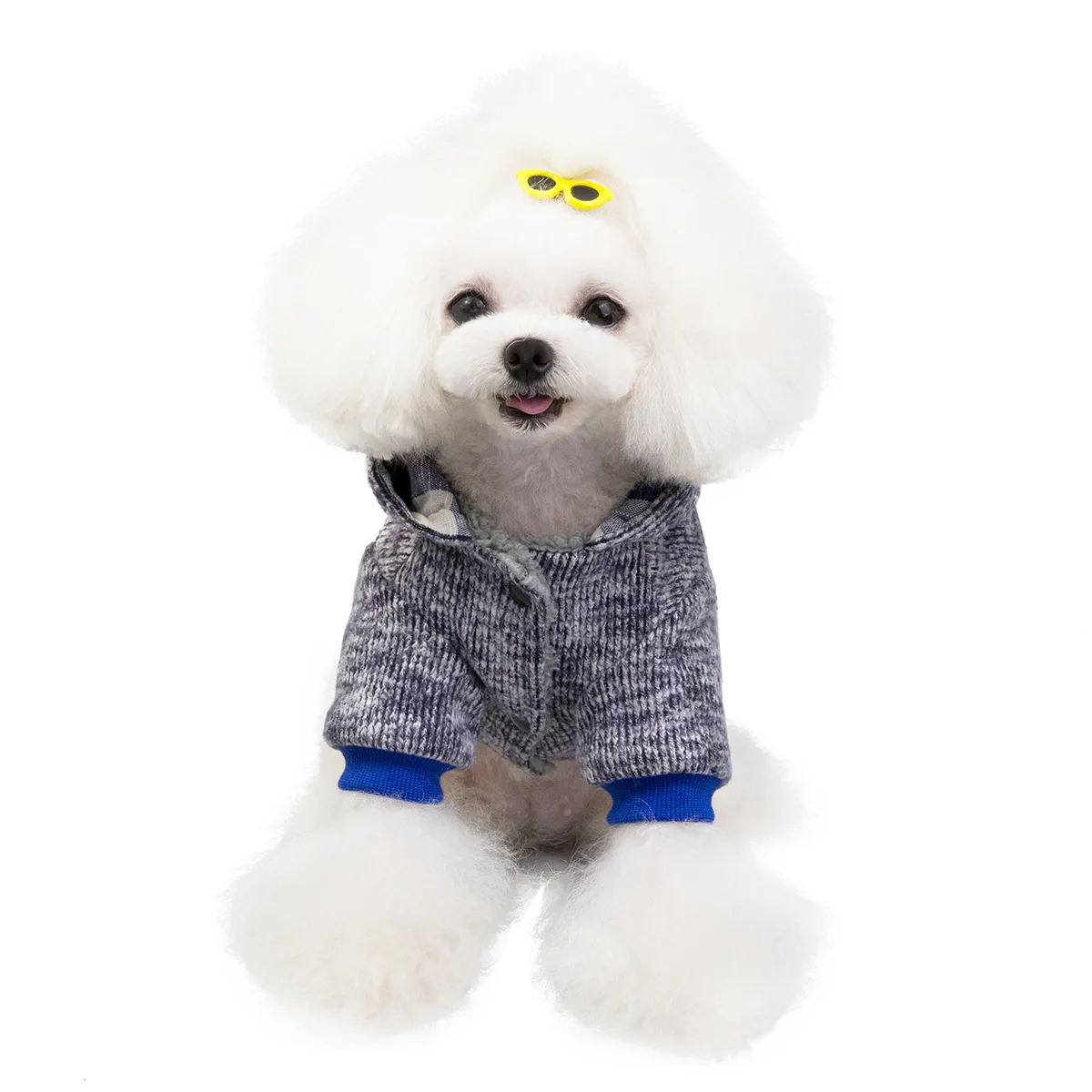 Зимнее пальто для домашних животных Костюм для маленькой собачки Winiter Poodle Bichon пальто куртка Померанская Чихуахуа Yokie Schnauzer одежда для домашних животных Прямая поставка