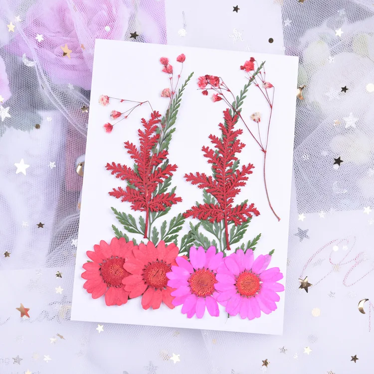 10pcs/lot Natural Pressed flower daisy leaves Eternelle rose petals materials for DIY Bookmark Gift Card Embossed photo frame | Дом и сад