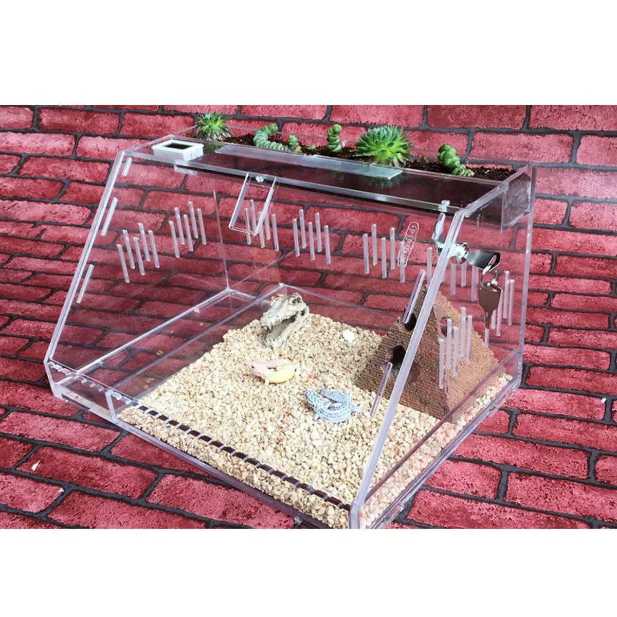 

Insect Breeding Box Cage House Reptiles Accessories Transparent Acrylic Reptile Terrariums Plant Feeding Tank Lizard