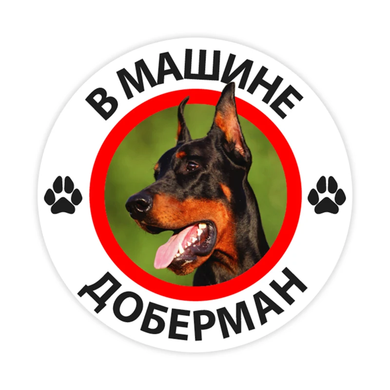 

B0282# 10/13/15 cm Doberman in the Car Self-adhesive PVC Decal Car Sticker Waterproof Auto Decors on Bumper Rear Window