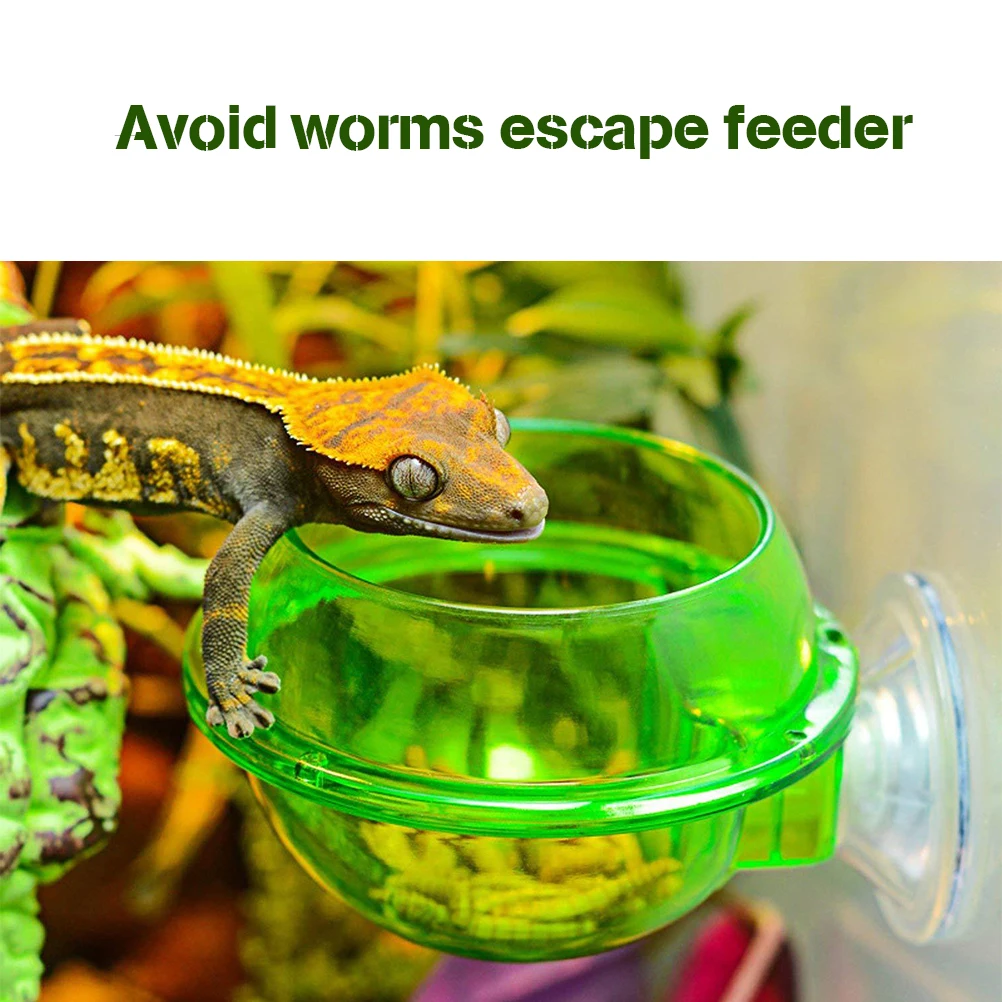 Рептилия питатель водное блюдо Gecko Ledge всасывающая кормушка-чашка Pet Хамелеон ящерица поставки