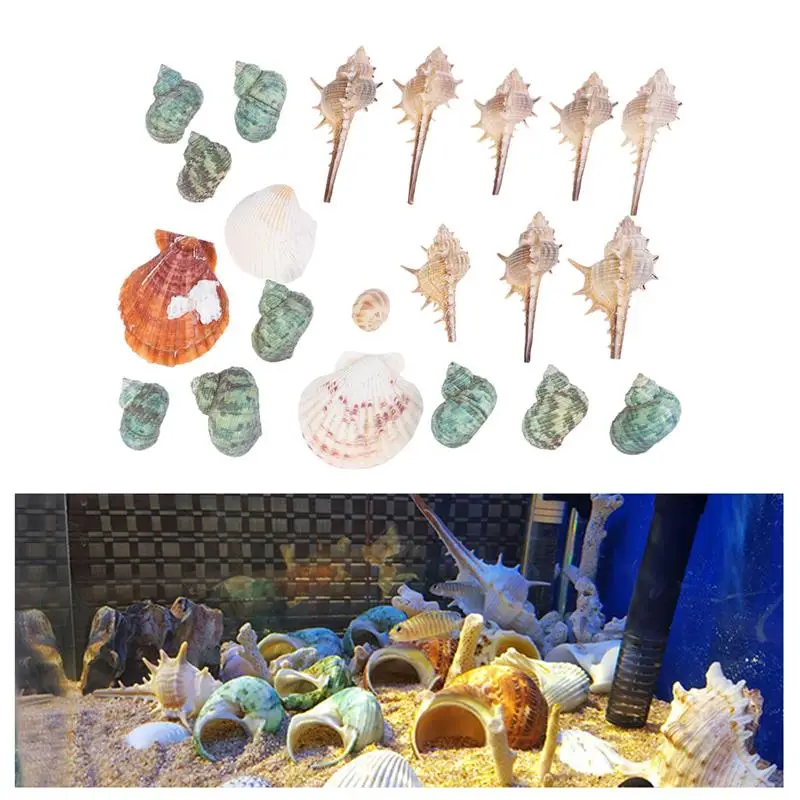 1 Bag 200g DIY Natural Decorative Beach Beautiful Seashells Crafts Set For Home Fish Tank Aquarium Decoration