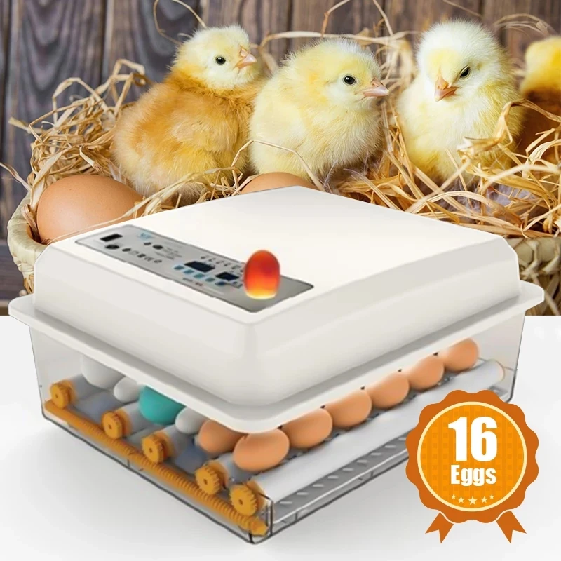 220V задумчивый птица перепелиное яйцо инкубатор яиц для цыплят птицеводство 16