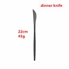 dinner knife 1pc