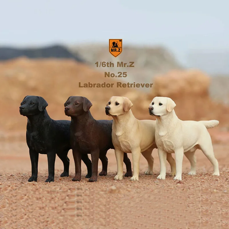 

Mr.Z about 24cm 1/6TH Simulation Animal Standing walking Pet labrador retriever dog Model Toy For 12' Action Figure parts show