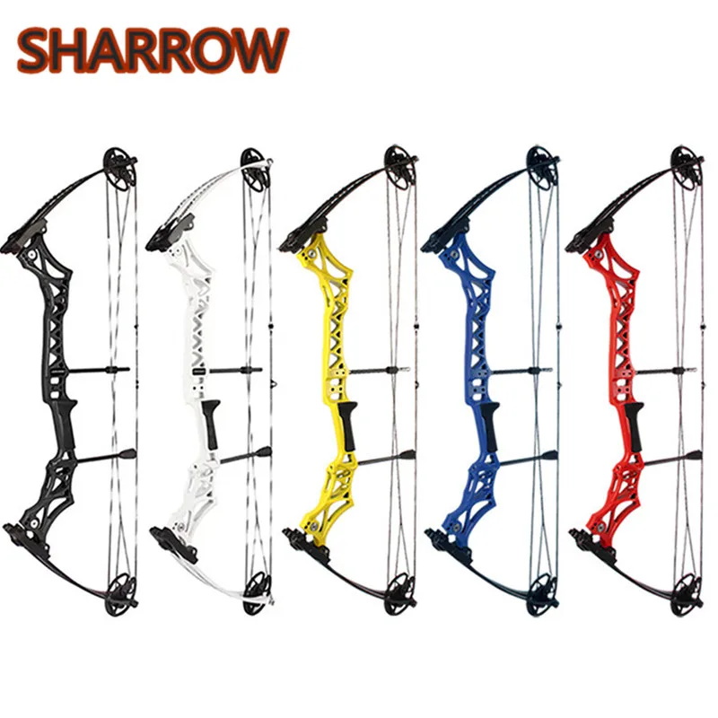 

Archery Compound Bow 30-55lbs High Precision Competition Practice Compound Bow For Outdoor Hunting Shooting Accessories