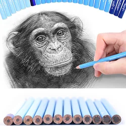 Ensemble de crayons en bois pour dessin, 24 pièces pour croquis artistique 