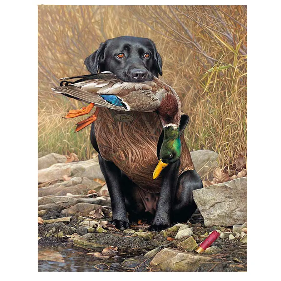 56bc32a685c66c669c054e387f8bdf29_HTB1ZqGAajLuK1Rjy0Fhq6xpdFXa7