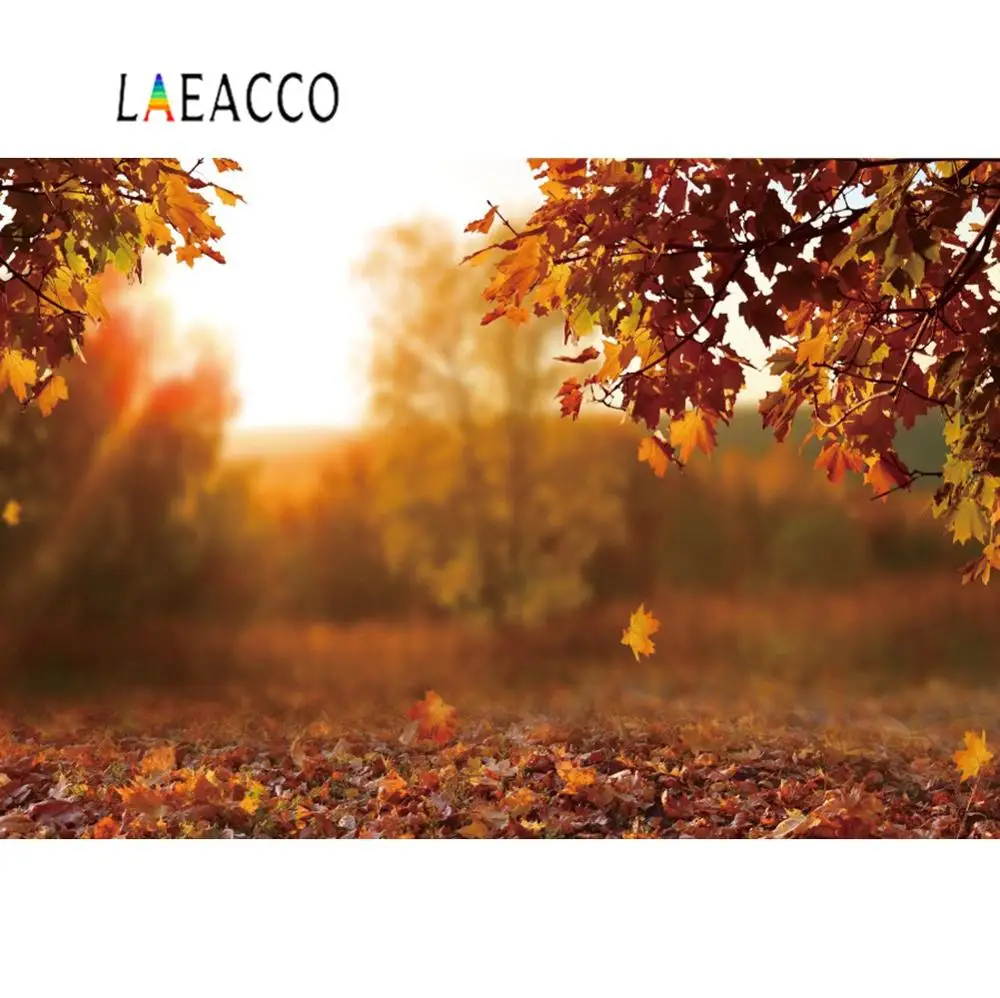 

Laeacco Autumn Backgrounds For Photography Fallen Leaves Maples Light Bokeh Sunshine Baby Newborn Portrait Scene Photo Backdrop