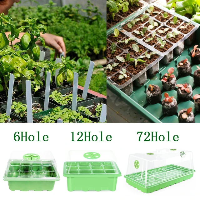 6/12 Lyukú Palánta Doboz Állítható Szellőztető Borító Vetőmag Ültetési Kertészeti Hidroponikus Rendszer Tálca Óvodai Cserepes - Image 2