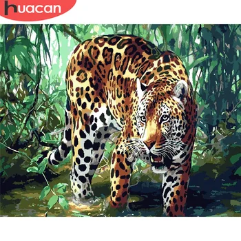 

HUACAN DIY Painting By Number Leopard Drawing On Canvas Pictures By Numbers Animal Kits Hand Painted Paintings Gift Home Decor