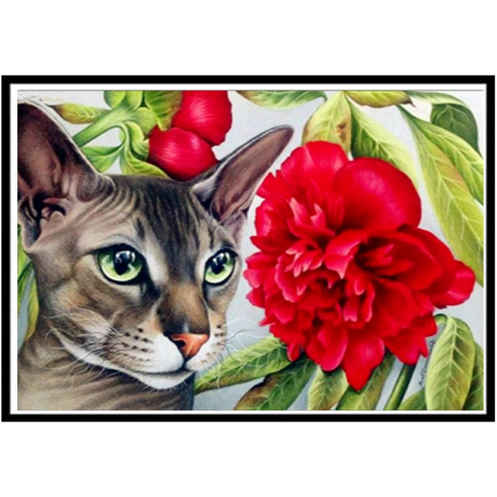 

5D diamond painting full diamond cat and rose round diamond mosaic pattern home decoration DIY handmade