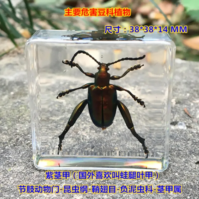 QDY5J~STHUYWO4O`P0ZYMKD_副本