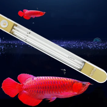

SENA Grilled Color Enhanced Color Fish Tank Light Jinlong Red Dragon Color Attractive Hair Color Aquarium Lighting