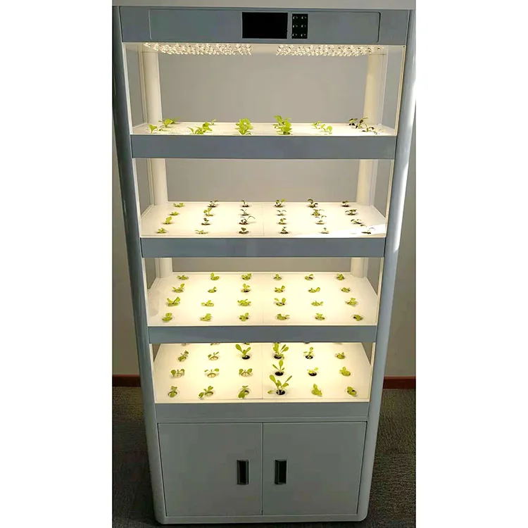 Greenhouse hydroponics growing systems for home growing fruits, vegetables, leafy greens, and flowers , fIsh