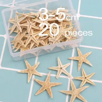 

Hot 2020 Natural Starfish Seashell Beach Craft Natural Sea Stars DIY Beach Decor