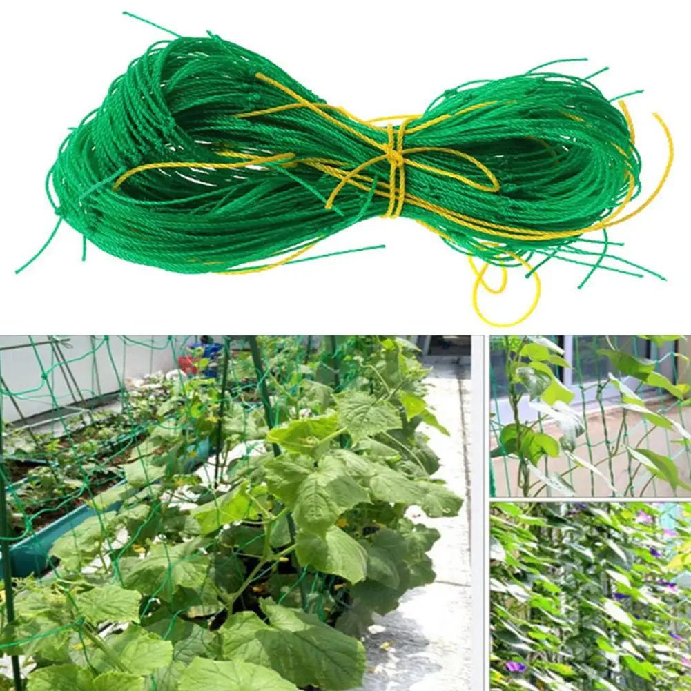 

Fruit Vegetable Flower Vine Plants Climbing Net Garden Cucumber Trellis Netting Plants Climbing Net Garden Cucumber Trellis Nett