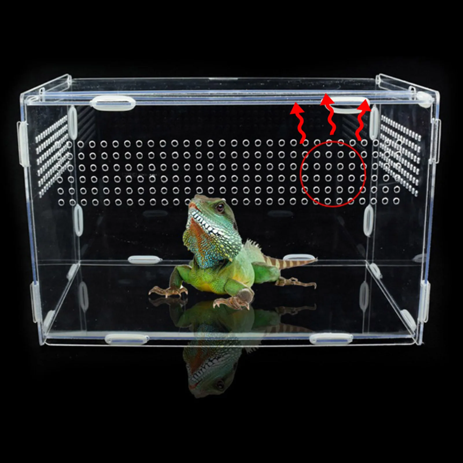 Reptile Breeding Box Acrylic Spider Lizard Scorpion Transparent Insect Breathable Terrarium