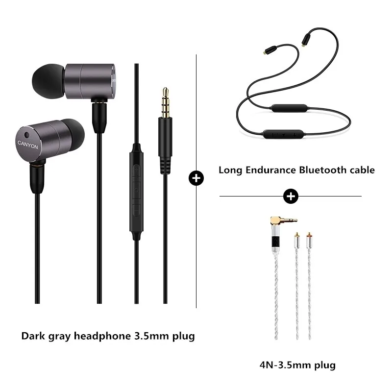 HIFI In Ear Earphones With MMCX Upgrade Detachable Type C Cable Noise Cancelling Heavy Bass Headphone With Mic