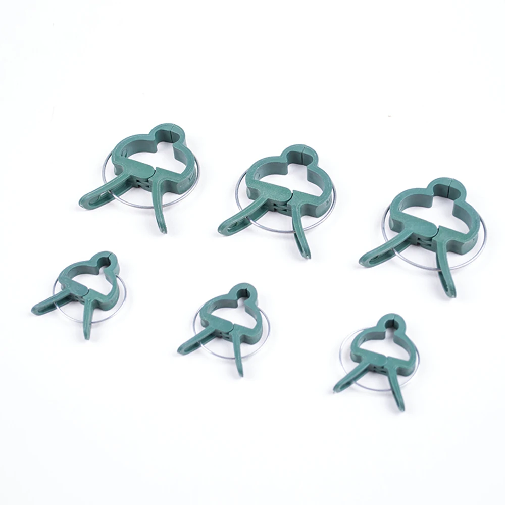 O1CN01qlaKBQ1g0gVlTJGjR_!!4173924080