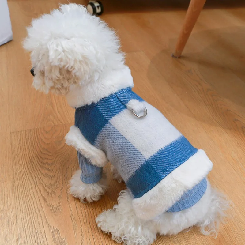 dog jacket with d ring