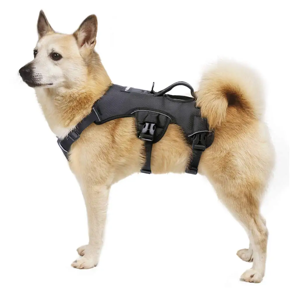 Joint Injuries Disabled Coodeo Dog Lift Harness Pet Support Rehabilitation Sling Lift Adjustable Padded Breathable Straps For Old Xx Large Loss Of Stability Dogs Walk Arthritis Pet Supplies Dogs Urbytus Com Joint Injuries Disabled Coodeo Dog Lift Harness Pet Support Rehabilitation Sling Lift Adjustable Padded Breathable Straps For Old Xx Large Loss Of Stability Dogs Walk Arthritis Pet Supplies Dogs Urbytus Com