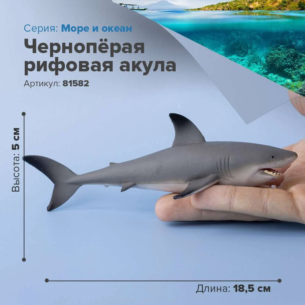 Фигурка Чернопёрая рифовая акула 81582 | Игрушки и хобби