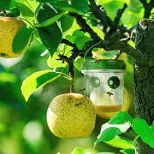 Ловушка для пчел с компонентами по хорошей цене светодиодный светильник Би-ловли машина ОСА ловушки для насекомых Tilters большого количества для фермы сад Beeworking Горячая Sale07