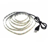 USB LED Strip 5V SMD2835 RGB Changeable LED TV Background Lighting 50CM 1M 2M 3M 4M 5M DIY Flexible LED Light ► Photo 1/6