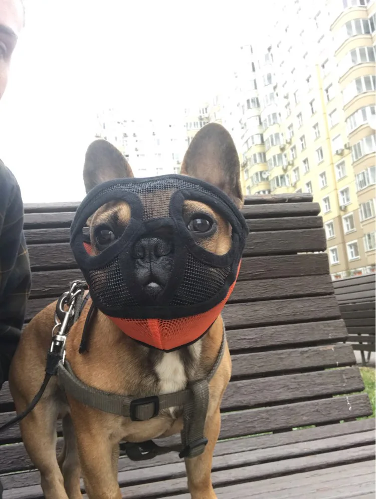 10 - HTB1dzOLa1H2gK0jSZFEq6AqMpXar