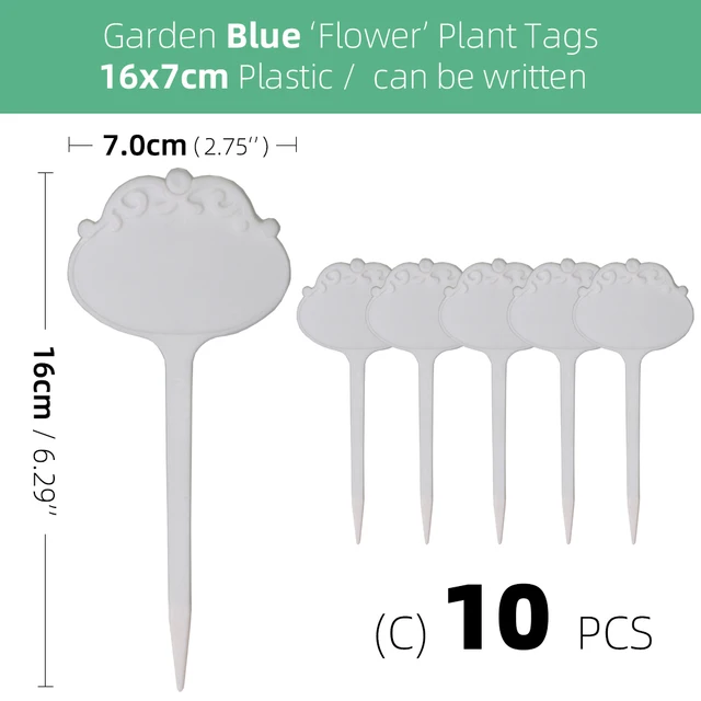 Cx10pcs