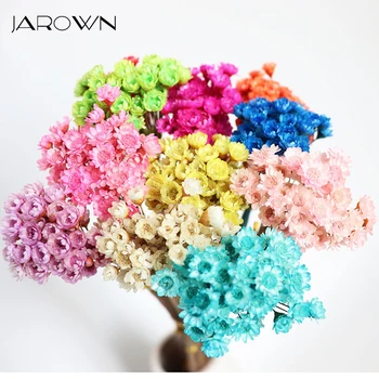 

JAROWN Dried Flower Natural Little Star Flowers Bouquet Preserved Mini Small Daisy Florist Wedding DIY Material Home Decoration