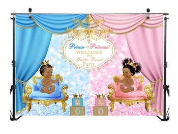

7x5FT Blue Prince Pink Princess Gender Reveal Party Personalized DIY Custom Photo Studio Backdrop Background Vinyl 220cm X 150cm