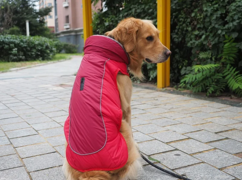 Светоотражающая Одежда для собак зимнее пальто для щенка теплая хлопковая куртка для домашних животных водонепроницаемая одежда для собак Жилет для маленьких средних и больших собак