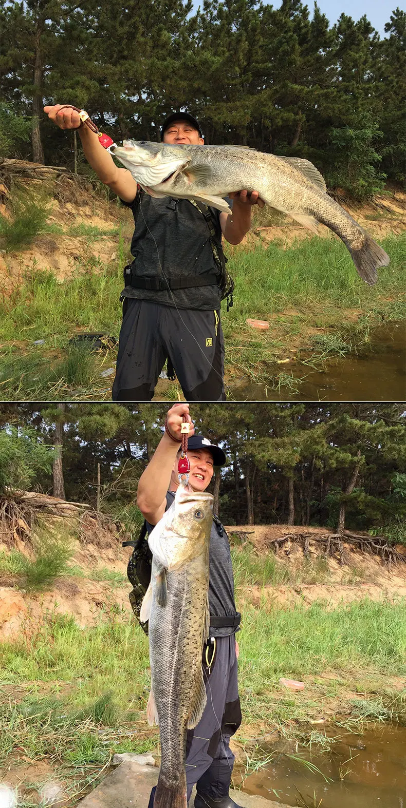 749bb8163b5511d405b6a77c684e9910_HTB1mNUUKbSYBuNjSspiq6xNzpXa7