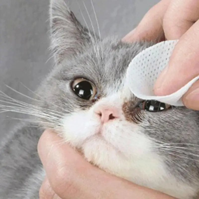 100/120 шт Pet с алоэ увлажняет салфетки для глаз собаки очищающее бумажное полотенце