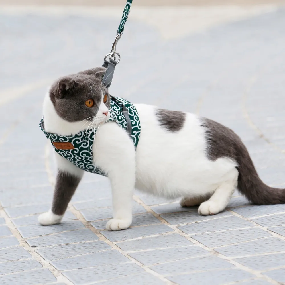 Cat Vest Harness Leash Set Kitten Puppy Dogs Harness Leads Breathable Pet Jacket Clothes for Small
