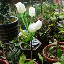 На открытом воздухе солнечные тюльпаны в форме водонепроницаемый белый светодиодное ландшафтное освещение для сада, патио, газона, двора, тропинки, свадьбы