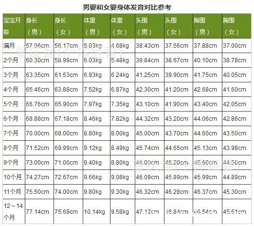 Photography for Children Clothing Place of Origin Supply of Goods Knitting Handmade Sweater Cute Autumn And Winter 2 Pieces